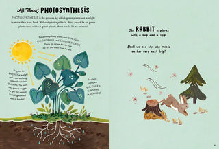 5 - Minute Nature Stories - Iris & Stout