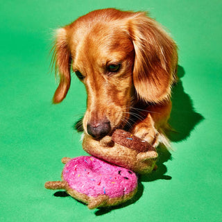 Felted Wool Donut Dog Toy
