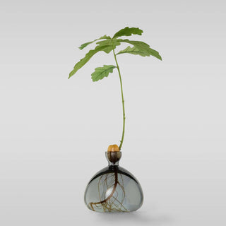 Acorn Vase - Iris & Stout