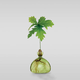 Acorn Vase - Iris & Stout