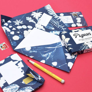Apothecary Pigeon letter pack - Iris & Stout