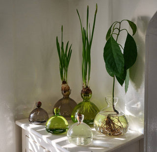 Avocado Vase - Iris & Stout