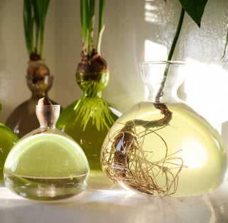 Avocado Vase - Iris & Stout