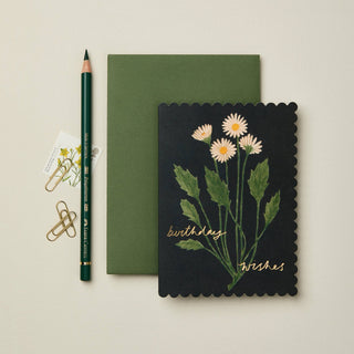 Botanical Daisy 'Birthday Wishes' Card - Iris & Stout
