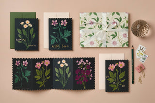 Botanical Daisy 'Birthday Wishes' Card - Iris & Stout