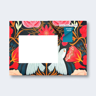 Bright & Beautiful Pigeon Letter Pack - Iris & Stout