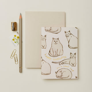 Cats 'Happy Birthday to a Cool Cat' Card - Iris & Stout