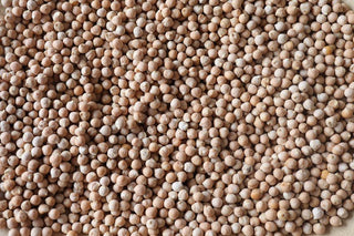 Ceci Piccoli ~ Small Chickpea - Iris & Stout