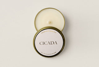 Conifer Travel Candle - Iris & Stout