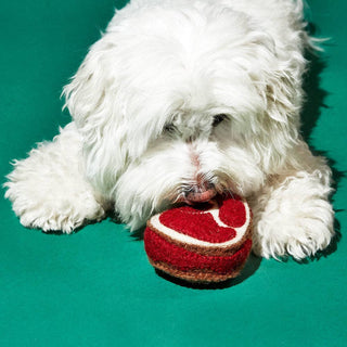 Felted Wool Steak Dog Toy - Iris & Stout