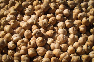 Garbanzo Bean - Iris & Stout