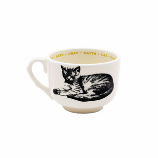 Grand Cup Cat - Iris & Stout