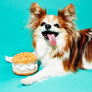 Hand Crochet Bagel & Cream Cheese Dog Toy - Iris & Stout
