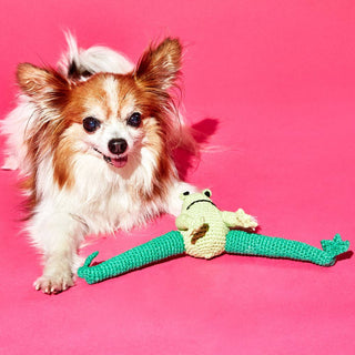 Hand Crochet Cotton Frog Dog Toy - Iris & Stout