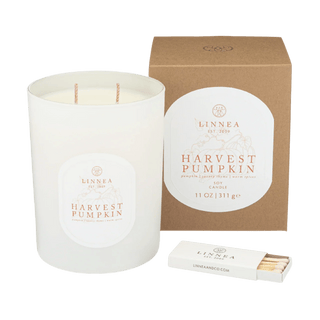 Harvest Pumpkin Candle - Iris & Stout