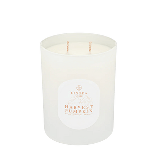 Harvest Pumpkin Candle - Iris & Stout