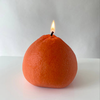 Large Grapefruit Candle - Iris & Stout