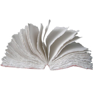 Liasse Notebook - Iris & Stout