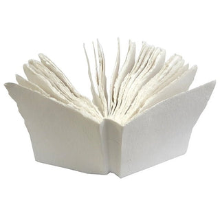 Liasse Notebook - Iris & Stout