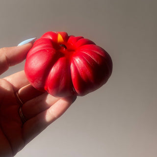 Mini Red Tomato Candle - Iris & Stout