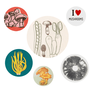 Mushroom Buttons - Iris & Stout