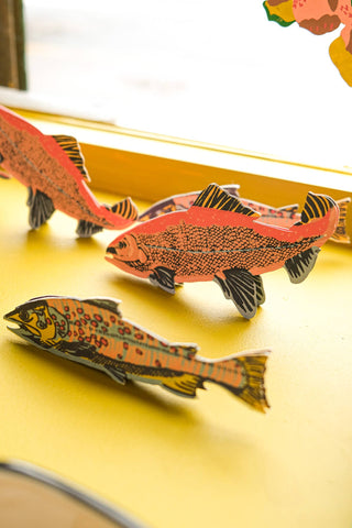 Salmon Greeting Card - Iris & Stout