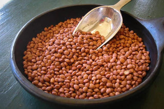 Santa Maria Pinquito Bean - Iris & Stout