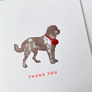 St. Bernard Thank You Card - Iris & Stout