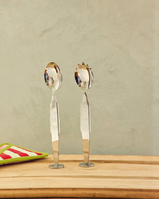 Stainless Steel Serving Set - Iris & Stout