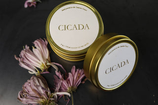 Summer Storms Travel Candle - Iris & Stout