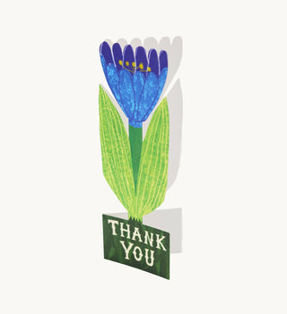 Thank You Tulip - Iris & Stout