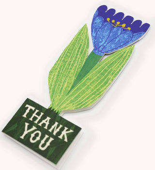 Thank You Tulip - Iris & Stout
