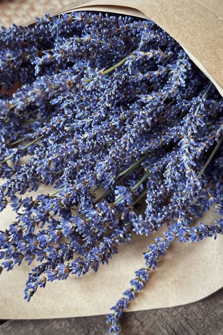 Premium Dried Lavender Bouquet - Grand-Mère